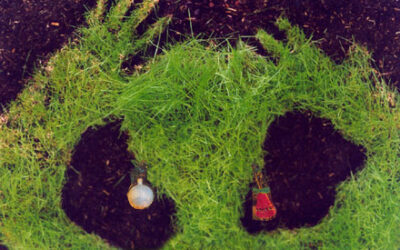 sonnenwendfeuer für kinder