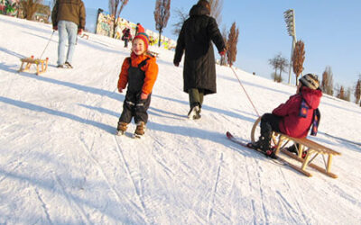 Kultur pflanzen – Bäume schützen