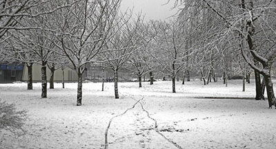 Mauerparkspaziergang