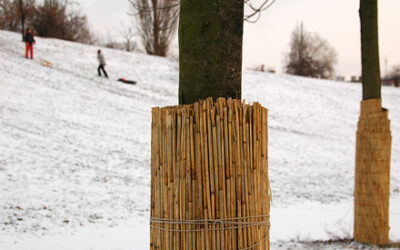 Vorbereitungen für die Rodel-Saison