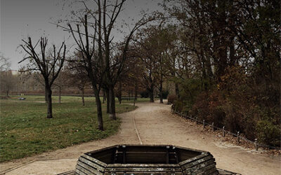 100 Jahre alte Kastanie auf dem Falkplatz gefällt