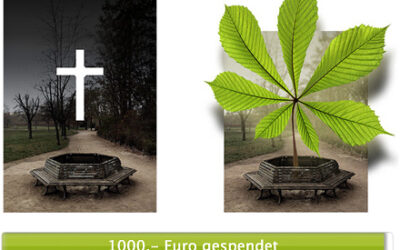 Spendenaktion: 1000€ in einer Woche gesammelt