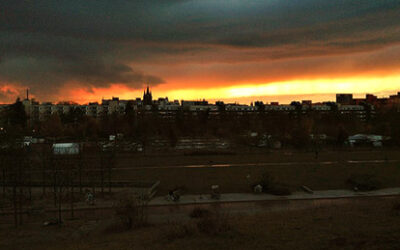 Mauerpark: himmelhoch jauchzend, zu Tode betrübt