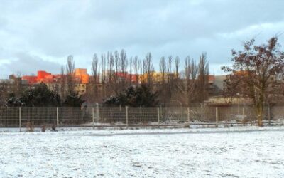 Neues Jahr, neues Glück?