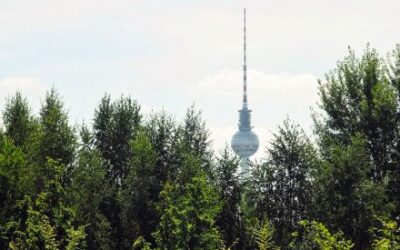 Der Mauerparkstreit – David gegen Goliath?