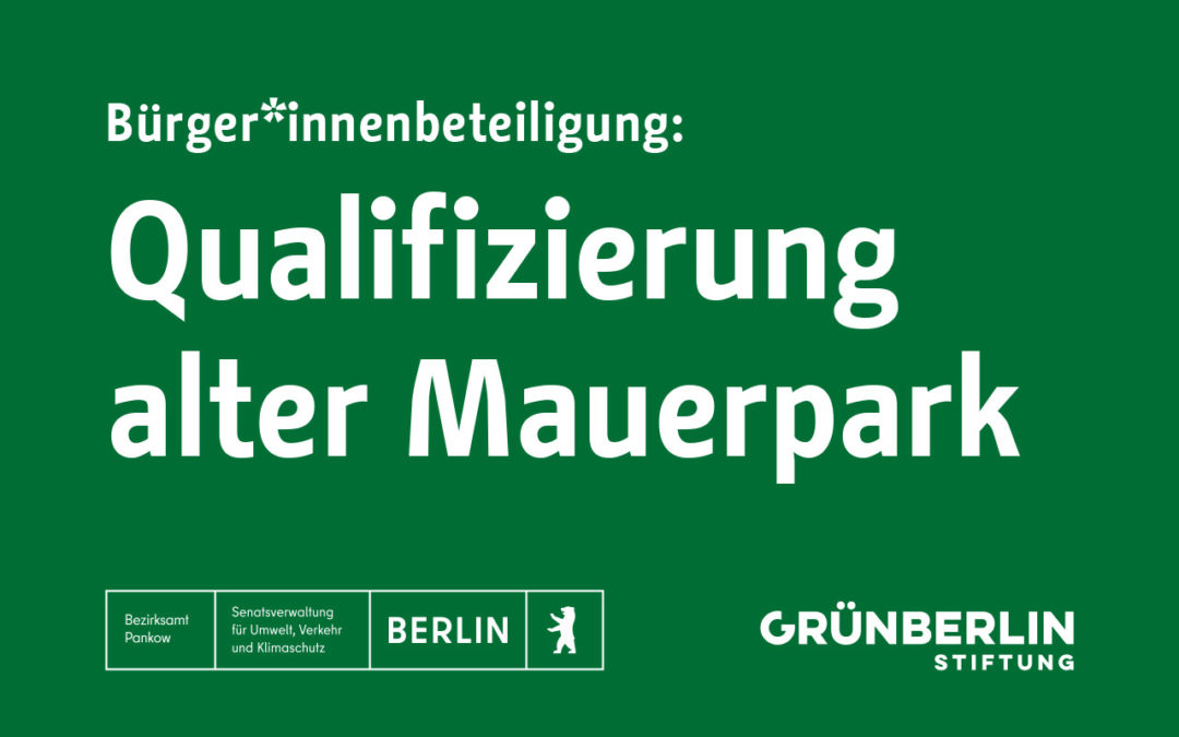 Mauerpark Qualifizierung: Digitaler Workshop C