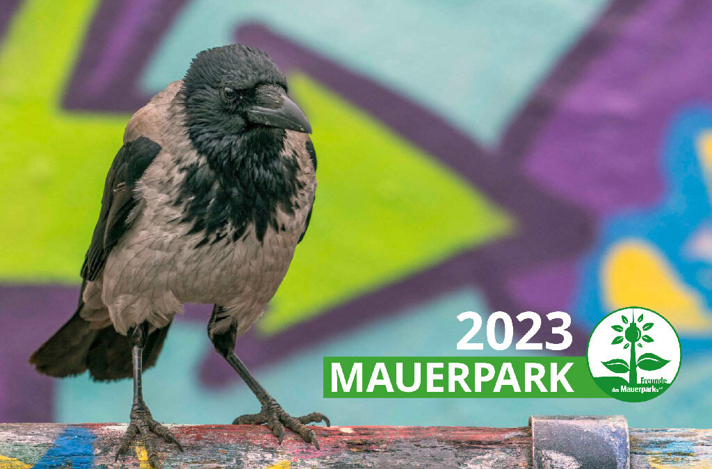 Der Mauerpark hat viele Gesichter